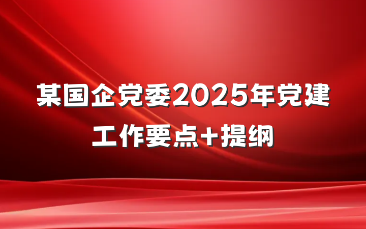 某国企党委2025年党建工作要点 提纲