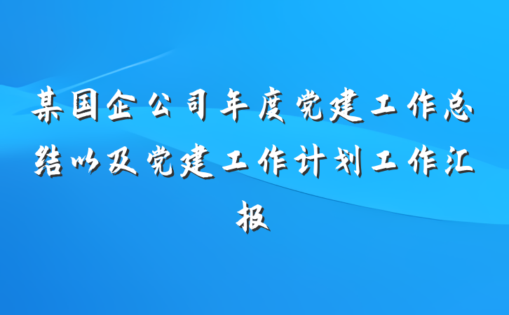 某国企公司年度党建工作总结以及党建工作计划工作汇报