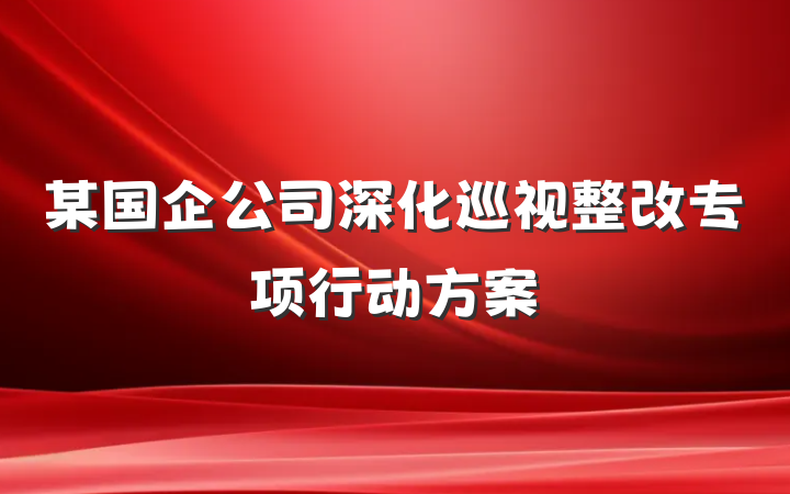 某国企公司深化巡视整改专项行动方案