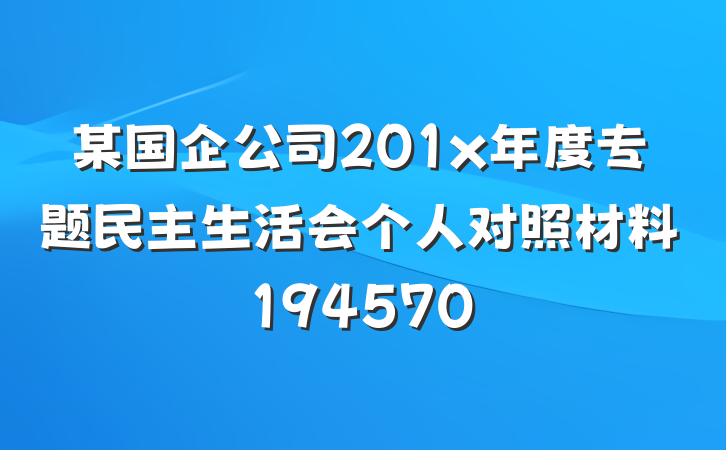 某国企公司201x年度专题民主生活会个人对照材料194570