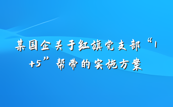 某国企关于红旗党支部“1+5”帮带的实施方案