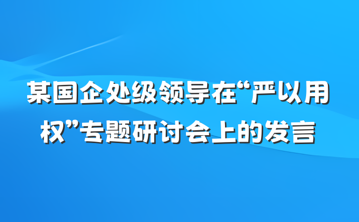 某国企处级领导在“严以用权”专题研讨会上的发言