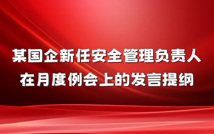 某国企新任安全管理负责人在月度例会上的发言提纲