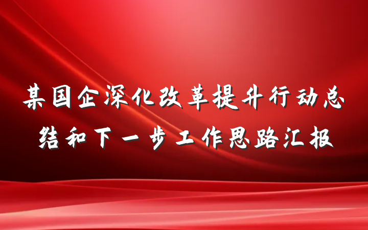 某国企深化改革提升行动总结和下一步工作思路汇报