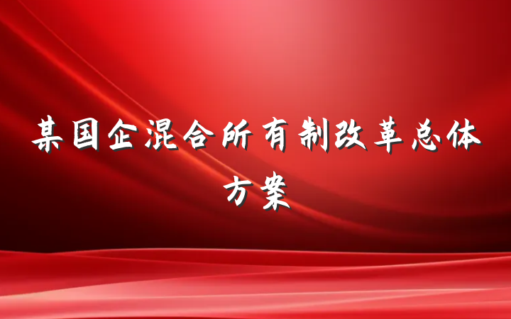 某国企混合所有制改革总体方案