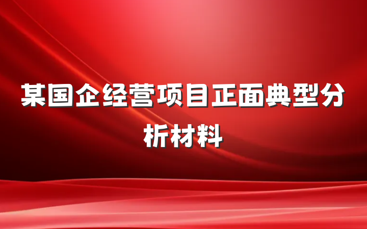 某国企经营项目正面典型分析材料
