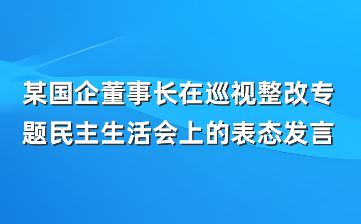 某国企董事长在巡视整改专题民主生活会上的表态发言