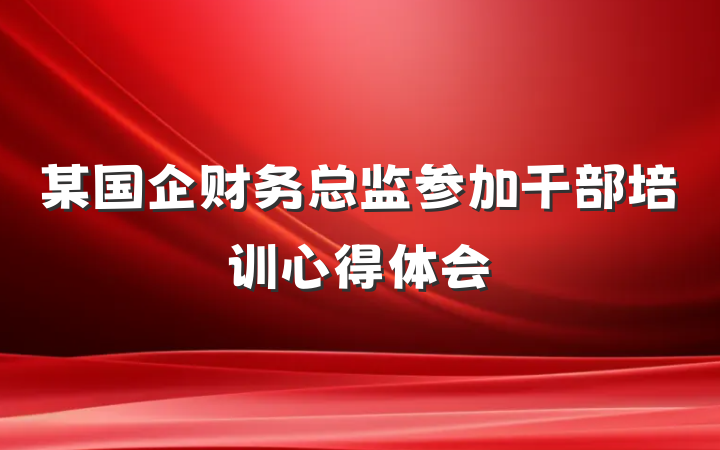某国企财务总监参加干部培训心得体会