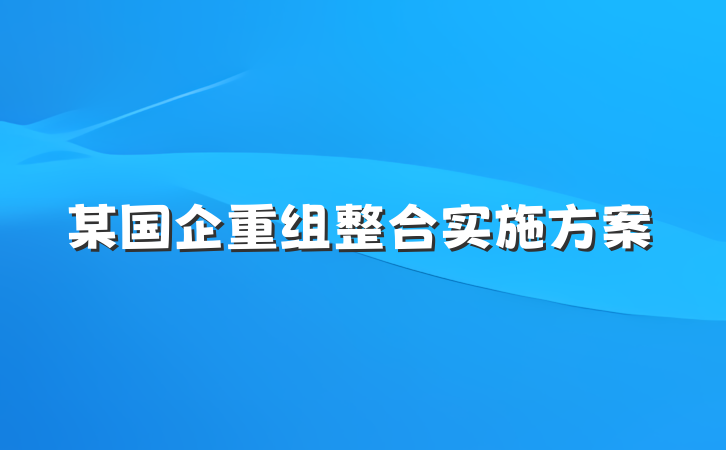 某国企重组整合实施方案