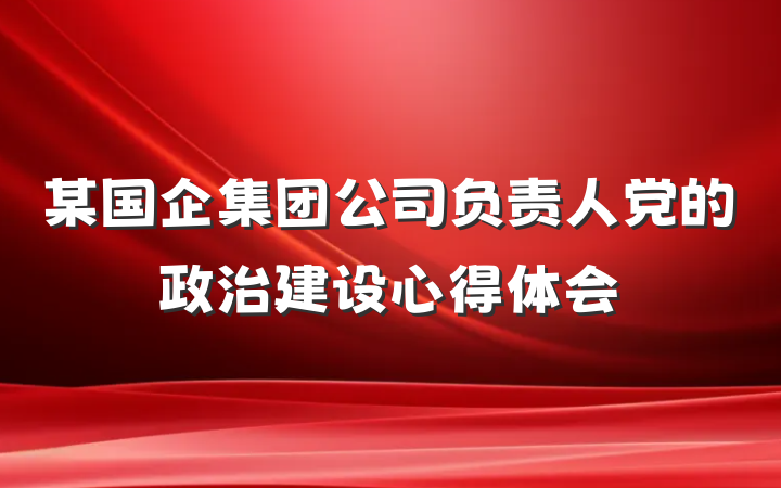 某国企集团公司负责人党的政治建设心得体会