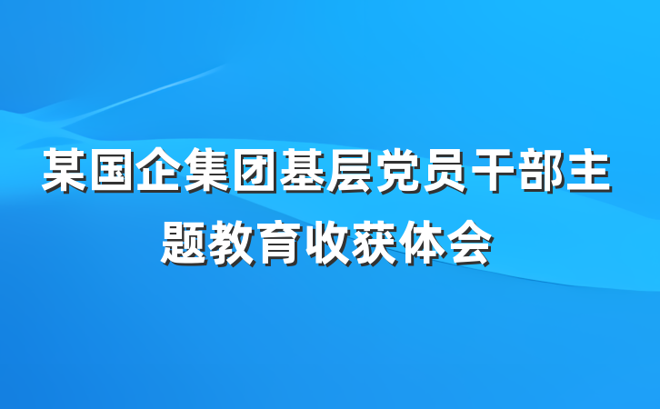 某国企集团基层党员干部主题教育收获体会