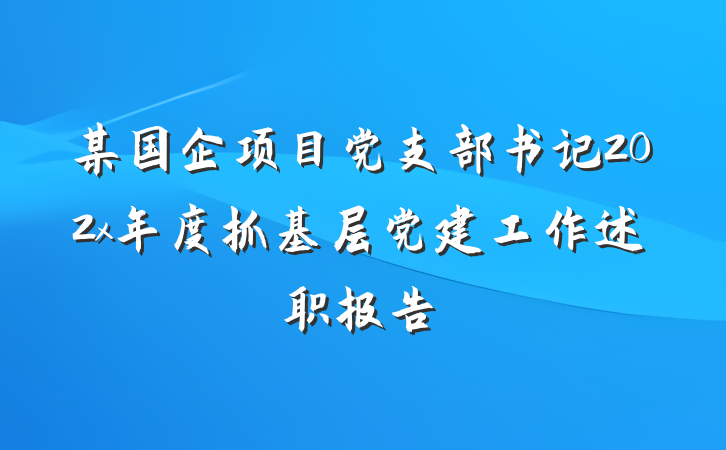 某国企项目党支部书记202x年度抓基层党建工作述职报告
