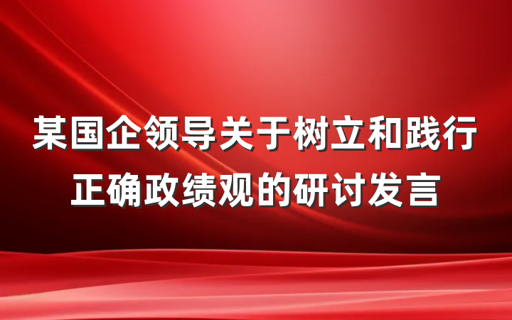 某国企领导关于树立和践行正确政绩观的研讨发言