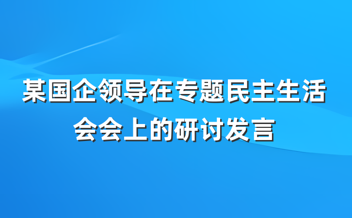 某国企领导在专题民主生活会会上的研讨发言