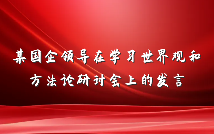 某国企领导在学习世界观和方法论研讨会上的发言