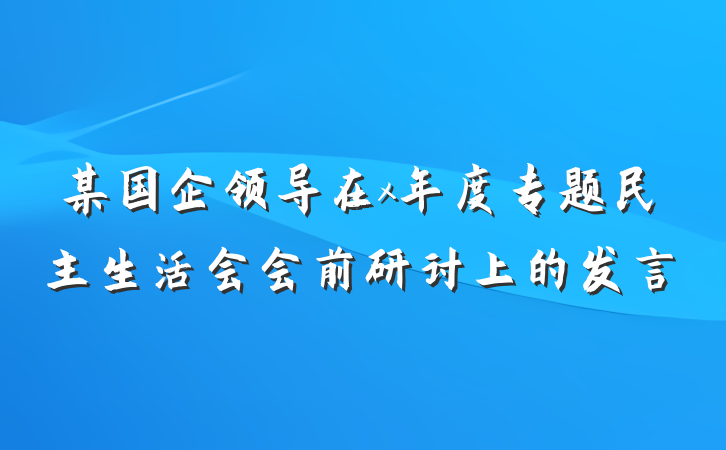 某国企领导在x年度专题民主生活会会前研讨上的发言