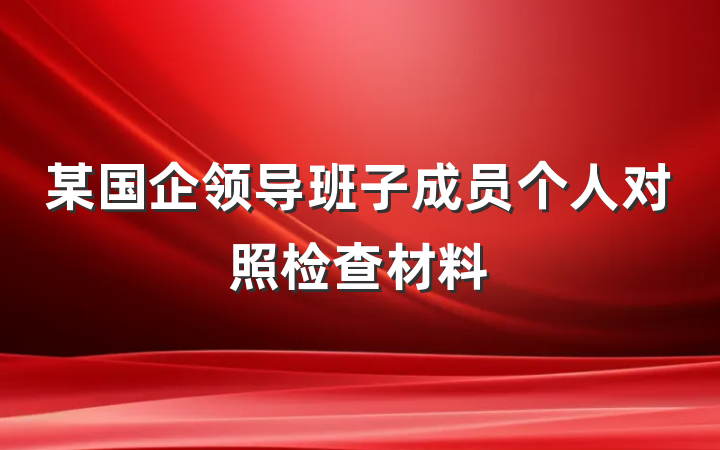 某国企领导班子成员个人对照检查材料