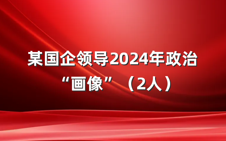 某国企领导2024年政治“画像”（2人）