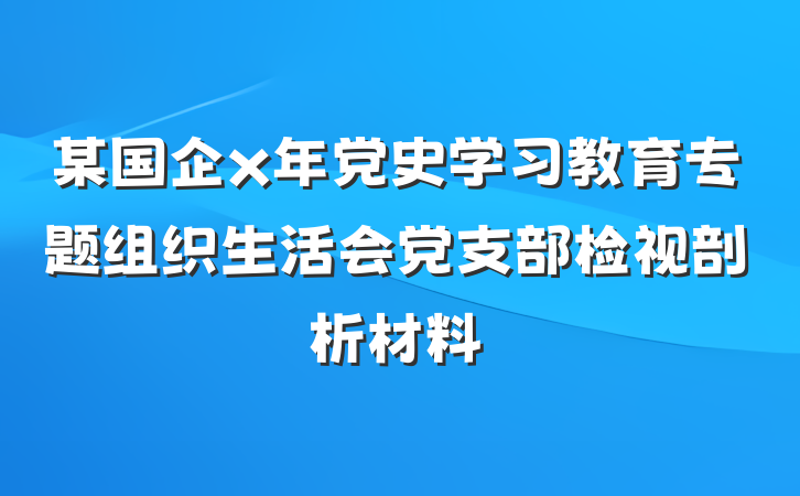 某国企x年党史学习教育专题组织生活会党支部检视剖析材料