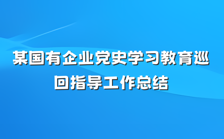 某国有企业党史学习教育巡回指导工作总结
