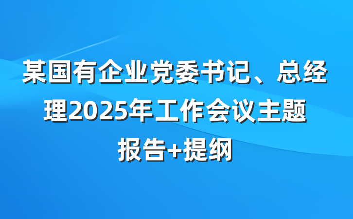 某国有企业党委书记、总经理2025年工作会议主题报告 提纲
