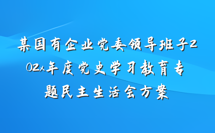 某国有企业党委领导班子202x年度党史学习教育专题民主生活会方案