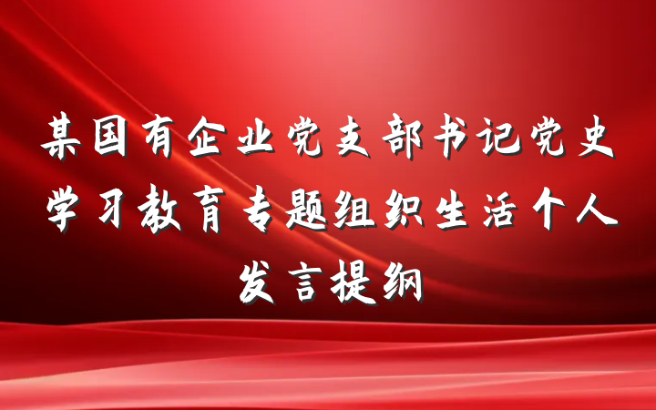 某国有企业党支部书记党史学习教育专题组织生活个人发言提纲