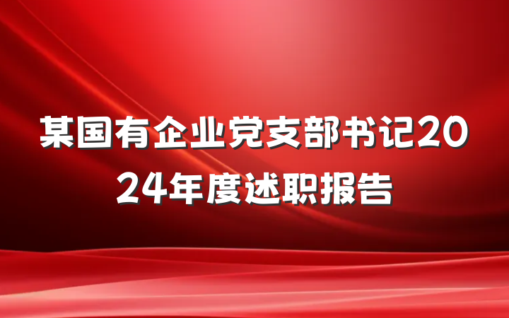 某国有企业党支部书记2024年度述职报告