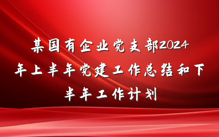 某国有企业党支部2024年上半年党建工作总结和下半年工作计划