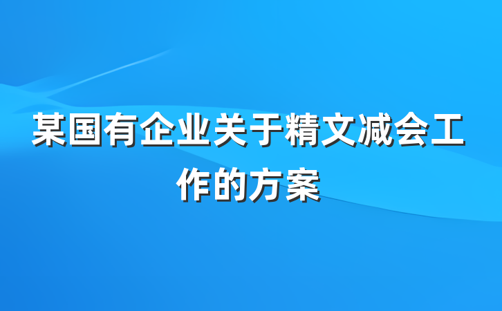 某国有企业关于精文减会工作的方案
