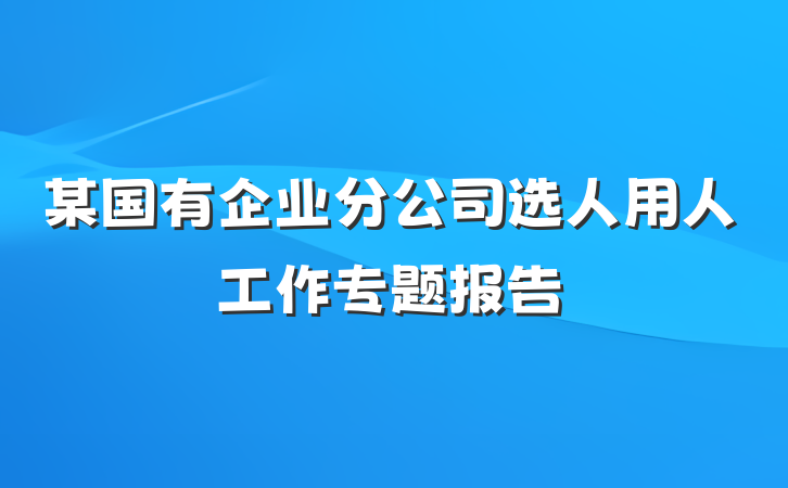 某国有企业分公司选人用人工作专题报告