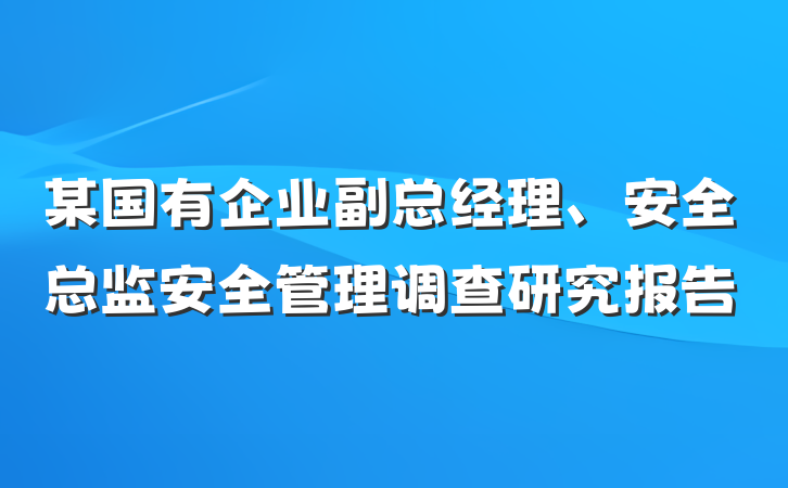 某国有企业副总经理、安全总监安全管理调查研究报告