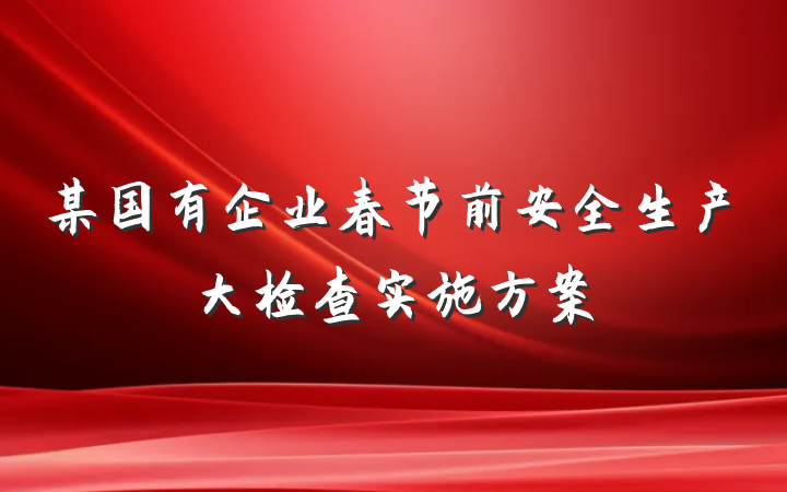某国有企业春节前安全生产大检查实施方案
