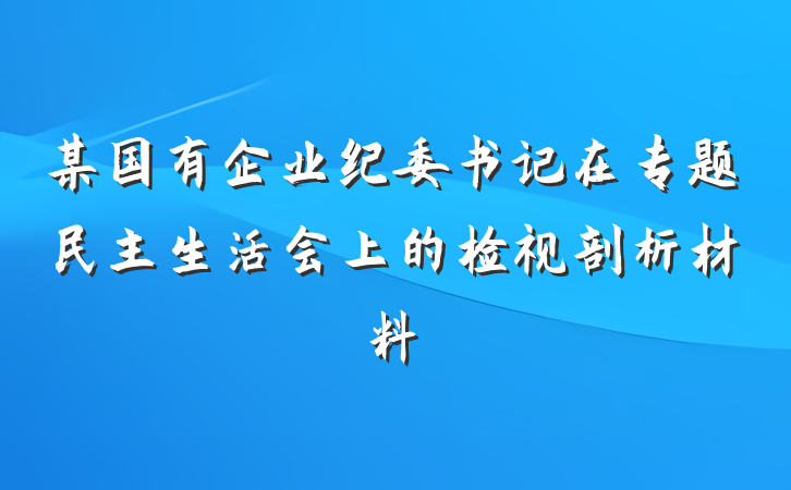 某国有企业纪委书记在专题民主生活会上的检视剖析材料