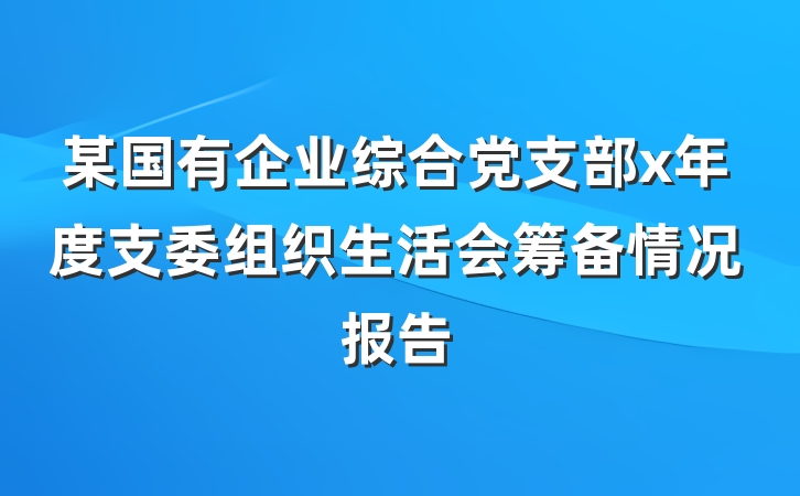 某国有企业综合党支部x年度支委组织生活会筹备情况报告