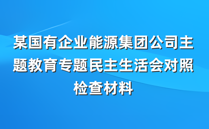 某国有企业能源集团公司主题教育专题民主生活会对照检查材料