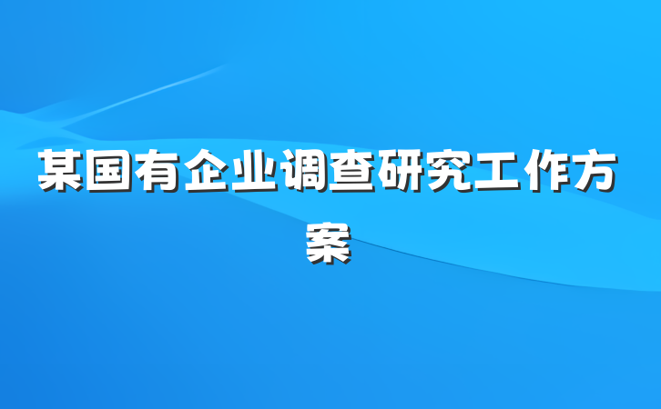 某国有企业调查研究工作方案