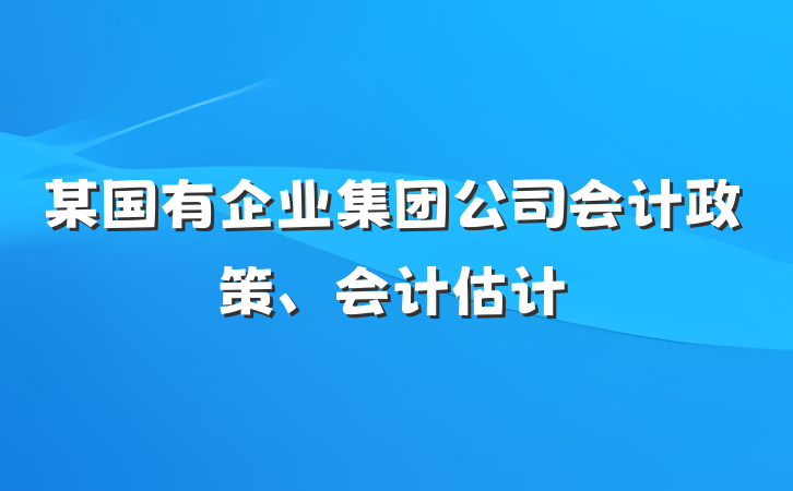 某国有企业集团公司会计政策、会计估计