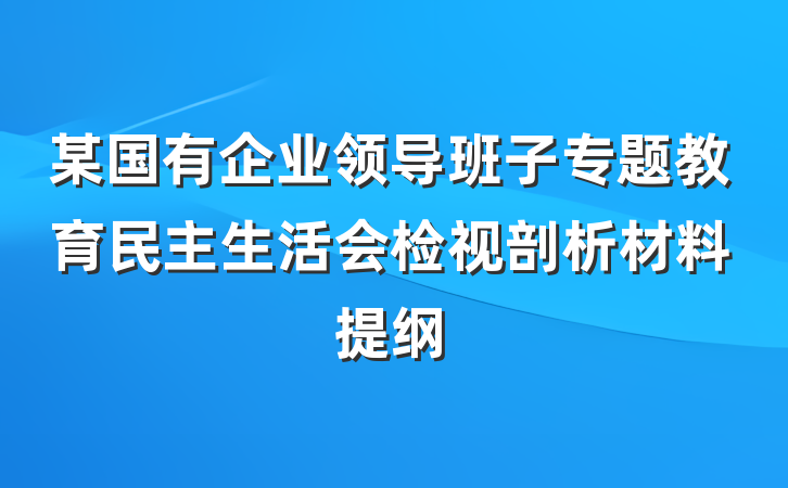 某国有企业领导班子专题教育民主生活会检视剖析材料提纲