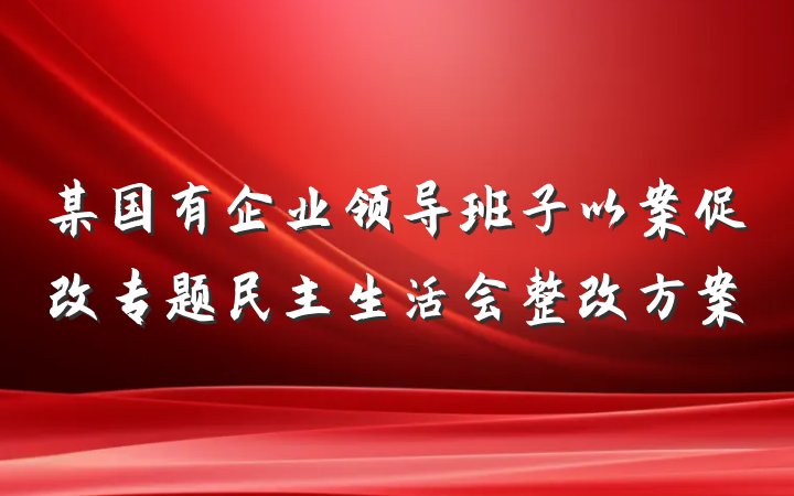 某国有企业领导班子以案促改专题民主生活会整改方案
