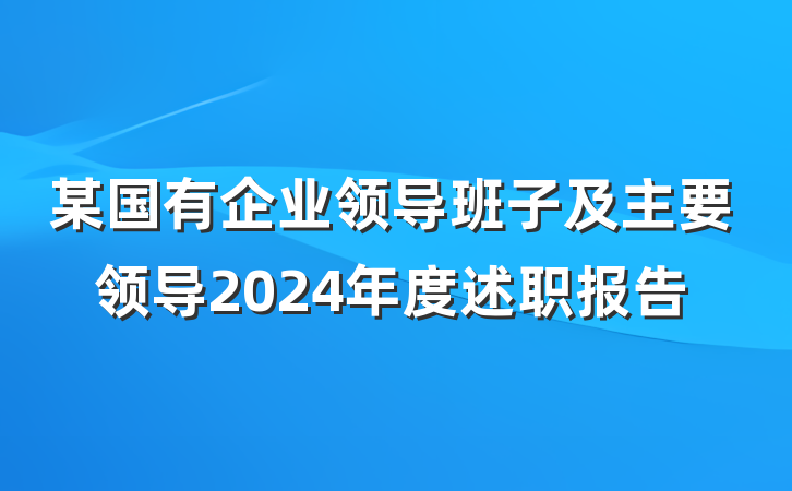某国有企业领导班子及主要领导2024年度述职报告