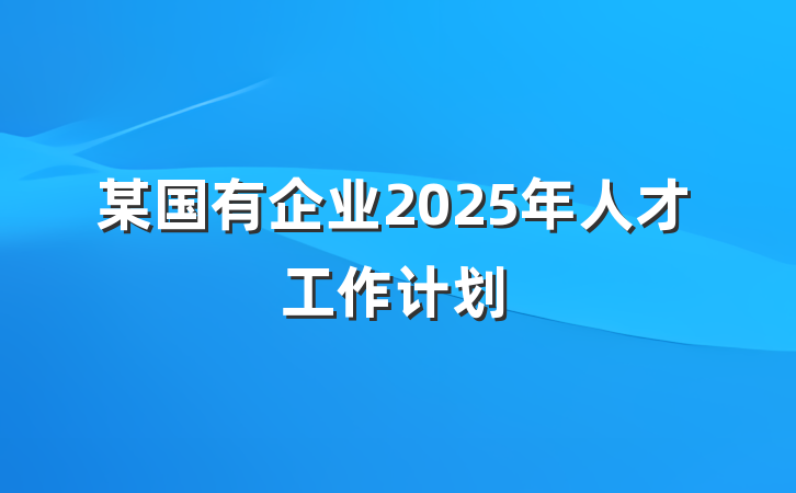 某国有企业2025年人才工作计划