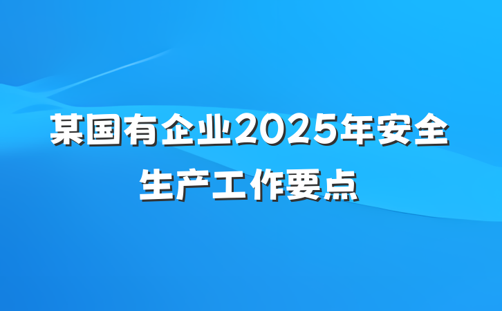 某国有企业2025年安全生产工作要点