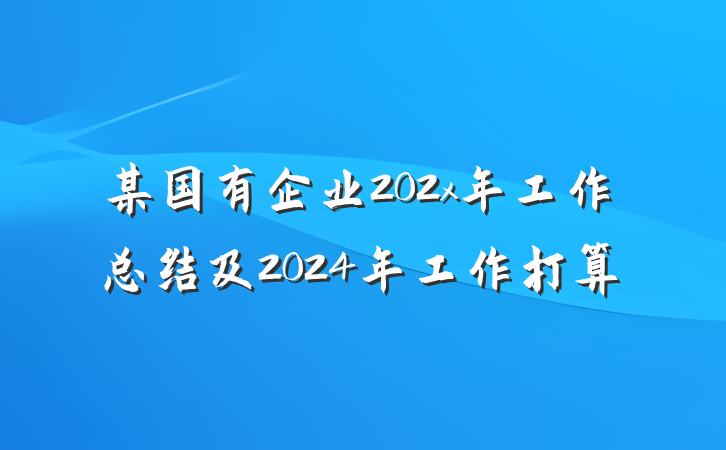 某国有企业202x年工作总结及2024年工作打算