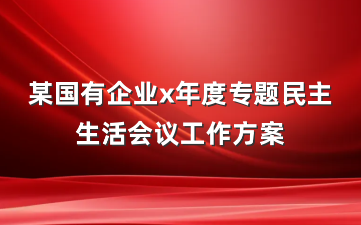 某国有企业x年度专题民主生活会议工作方案