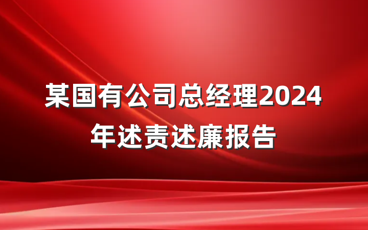 某国有公司总经理2024年述责述廉报告