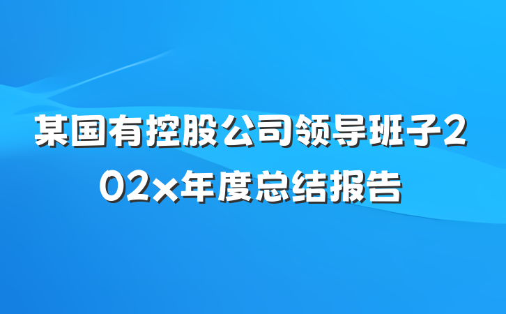 某国有控股公司领导班子202x年度总结报告