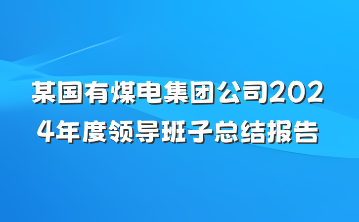 某国有煤电集团公司2024年度领导班子总结报告