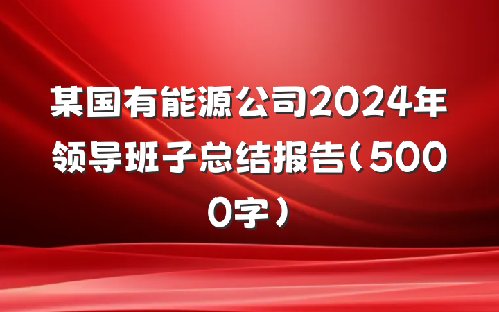 某国有能源公司2024年领导班子总结报告（5000字）