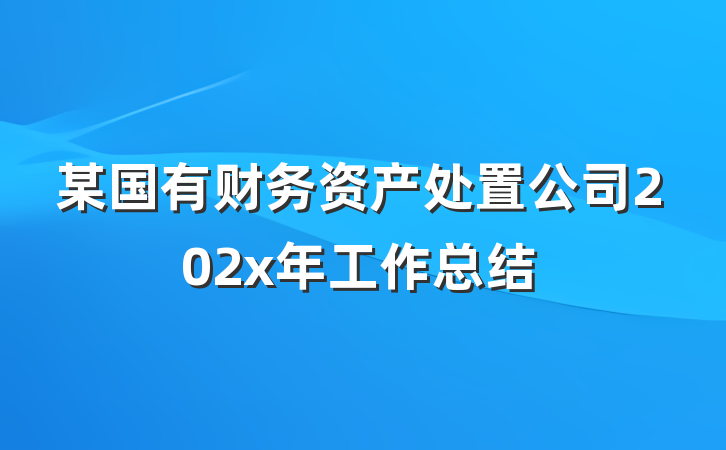 某国有财务资产处置公司202x年工作总结
